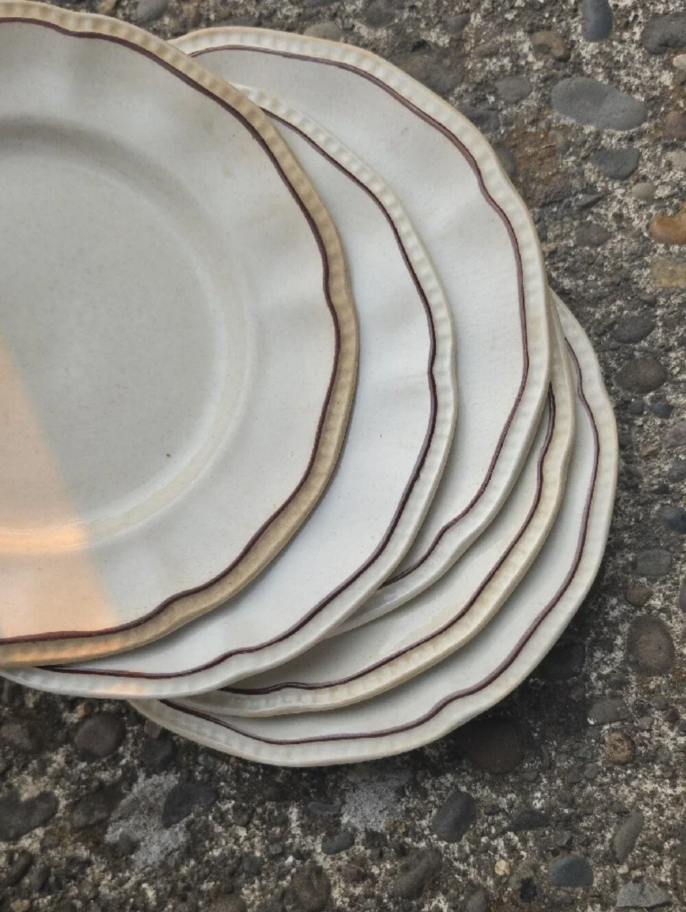 Cream Scalloped Dinner Plate with Brown Trim